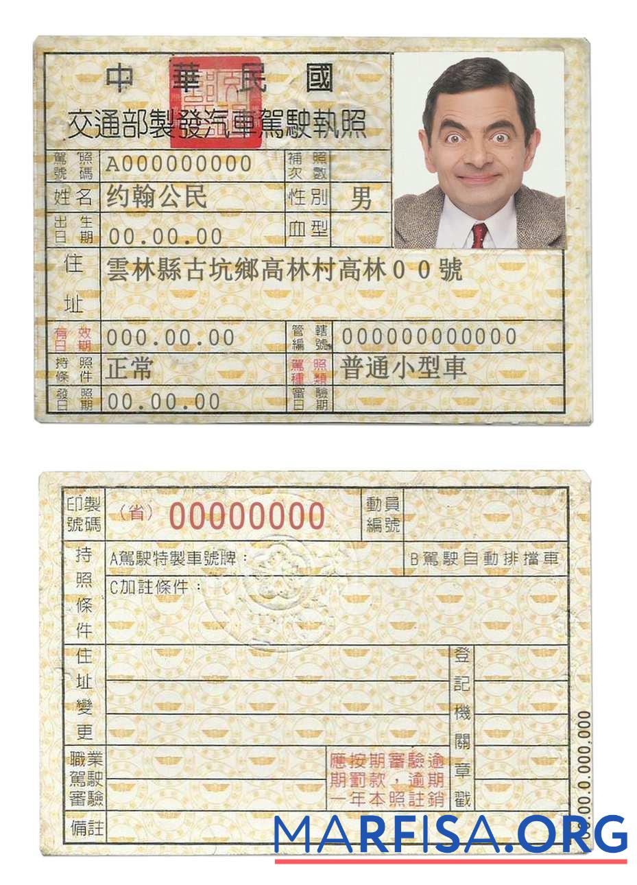 Printable Taiwan driving license real example